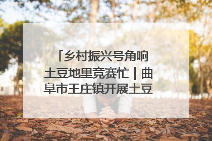 乡村振兴号角响 土豆地里竞赛忙｜曲阜市王庄镇开展土豆收获劳动竞赛